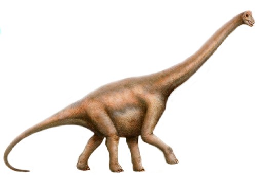 brachiosaurus